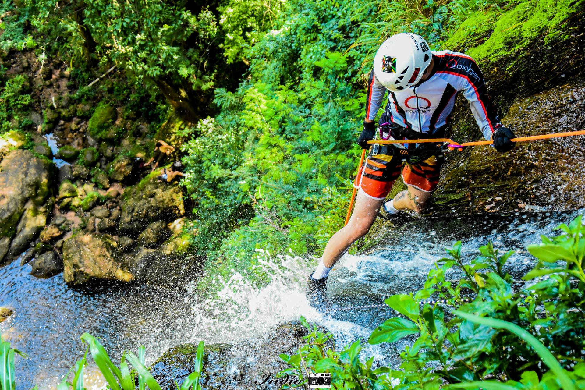 Cultura, Esporte e Turismo